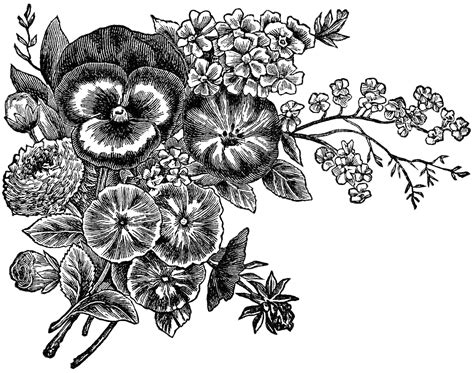 78,028+ Free Black And White Flower Illustrations .